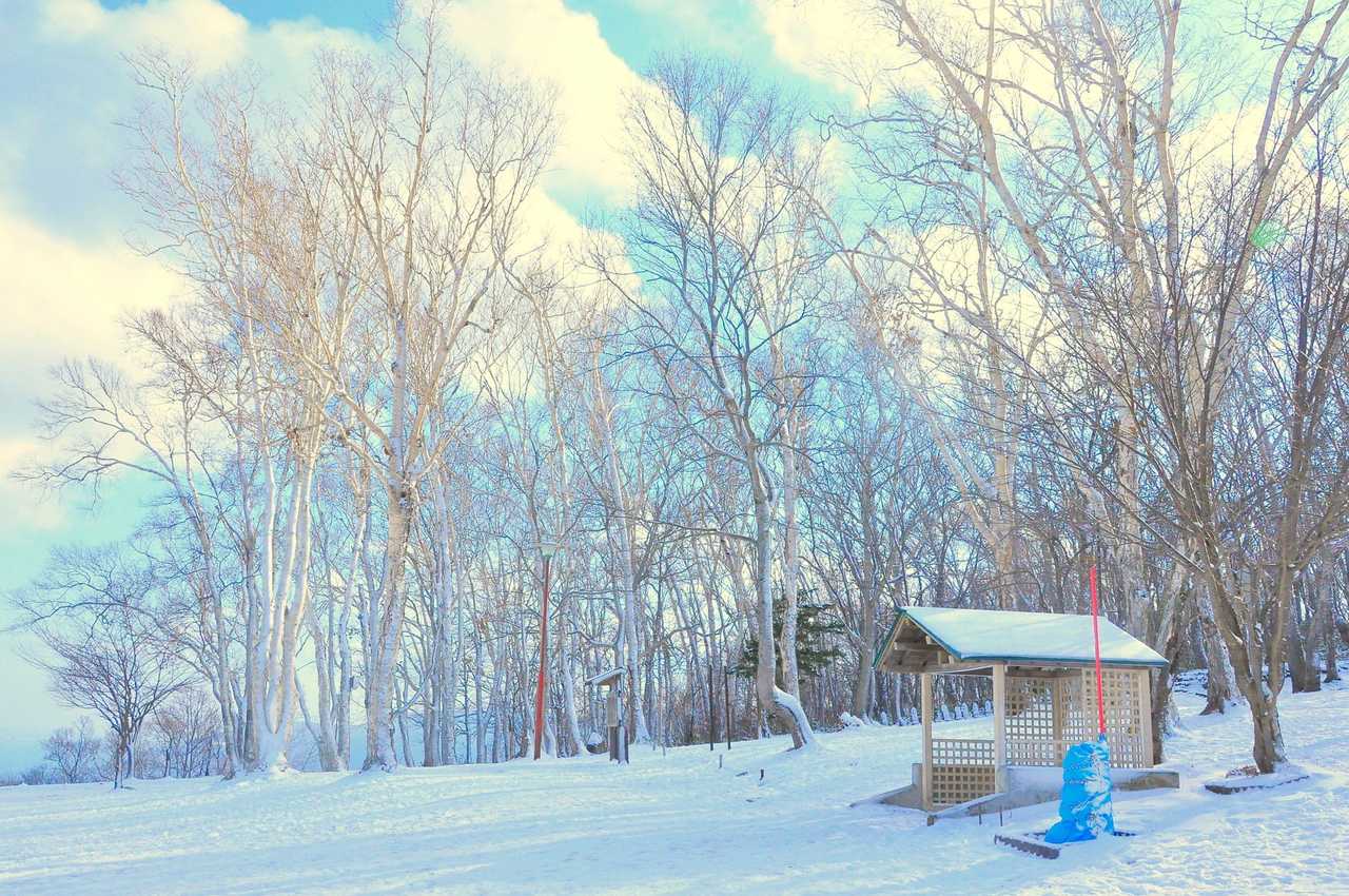 白樺雪道：平均斜度僅9度的新手練功場