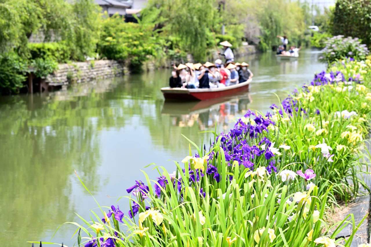 季節與時段：花期、日落與開橋時間