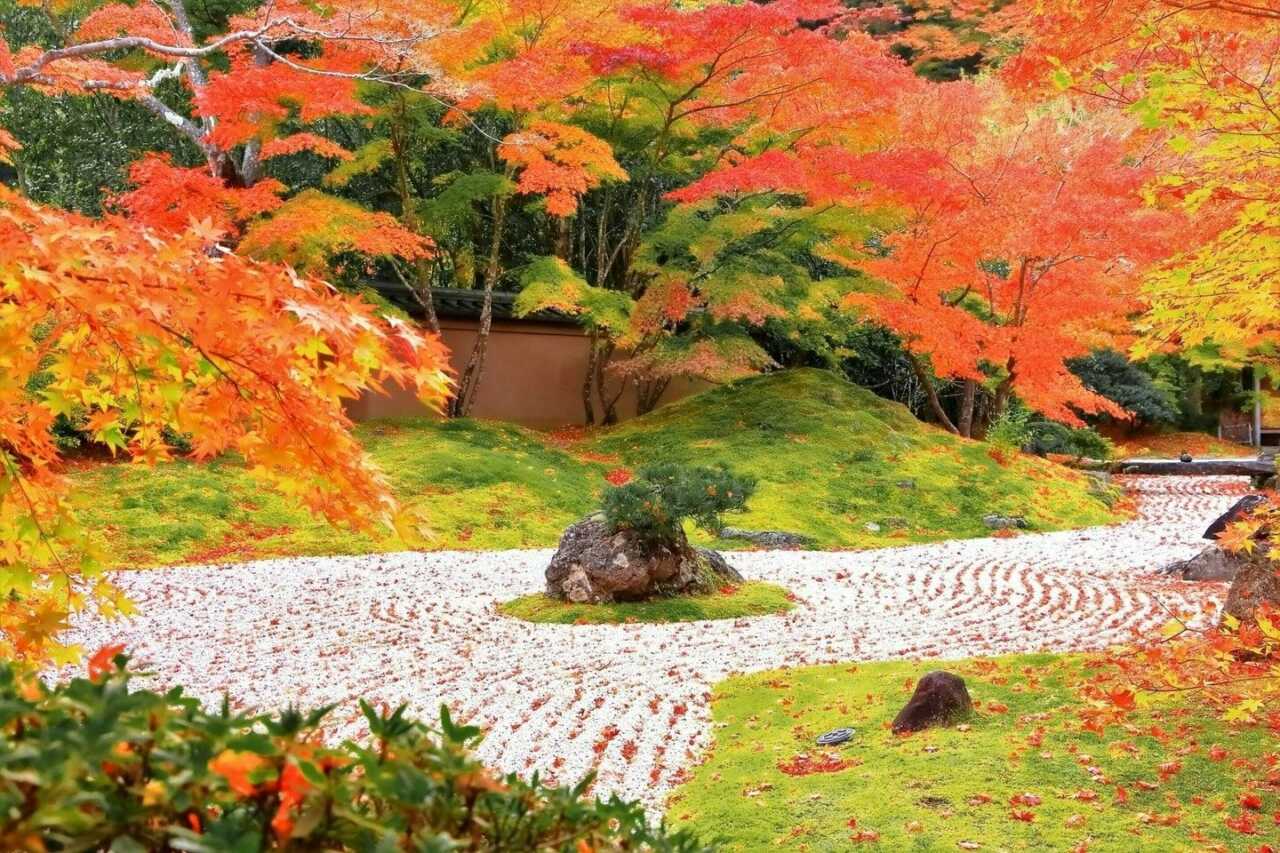 圓通院