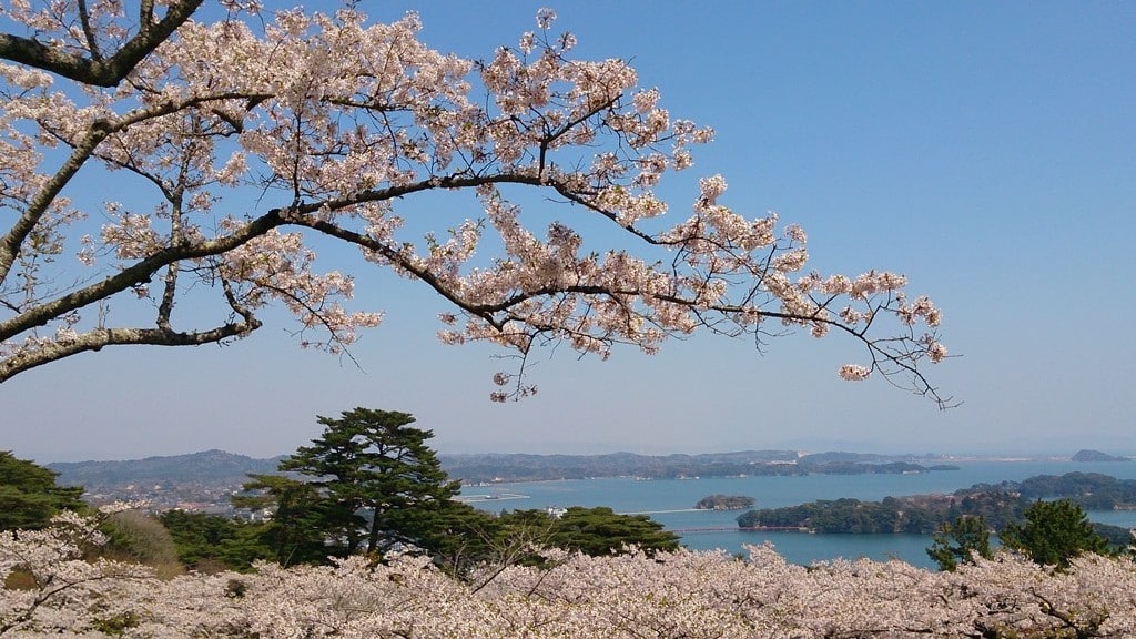 西行戻之松公園