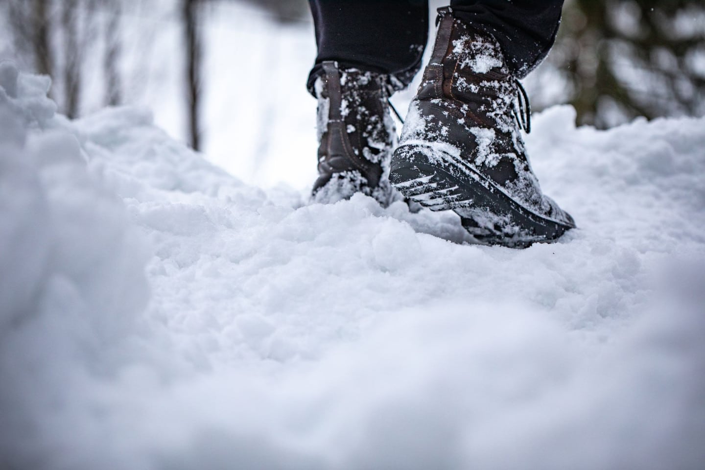行李與雪地裝備
