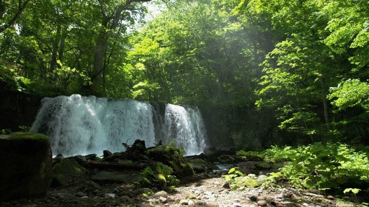 Oirase Gorge｜Attractions｜Amazing AOMORI - The Official Aomori Travel Guide