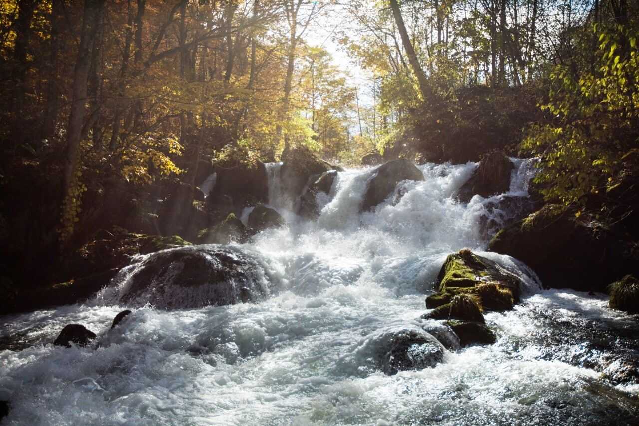 奧入瀨溪流 紅葉