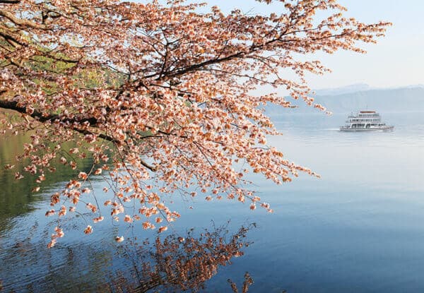 十和田湖遊覽船