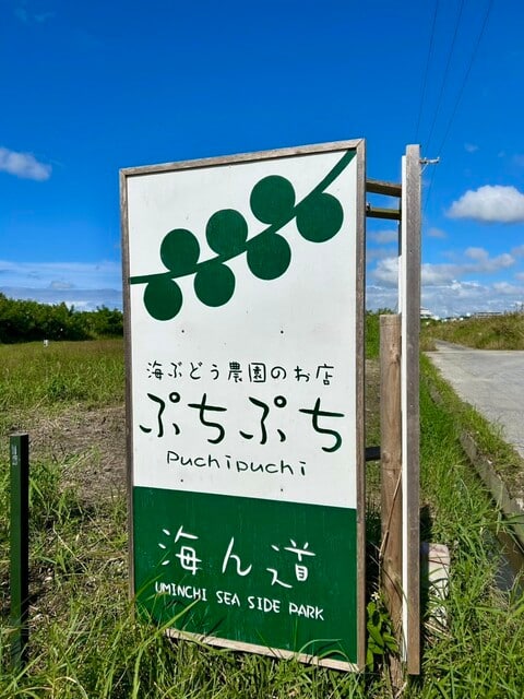 海ぶどう農園 海ん道