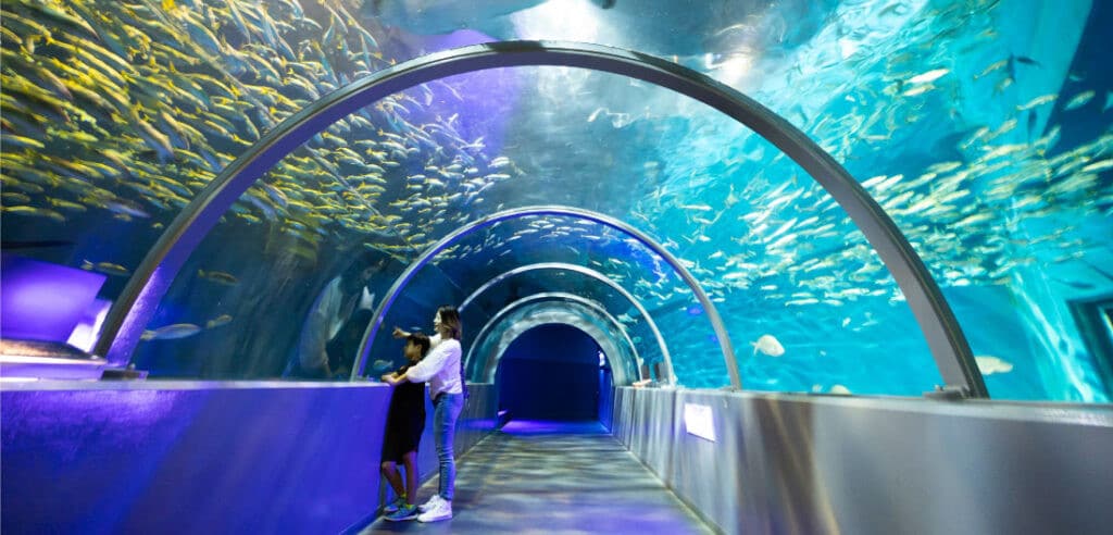 尼克斯城水族館