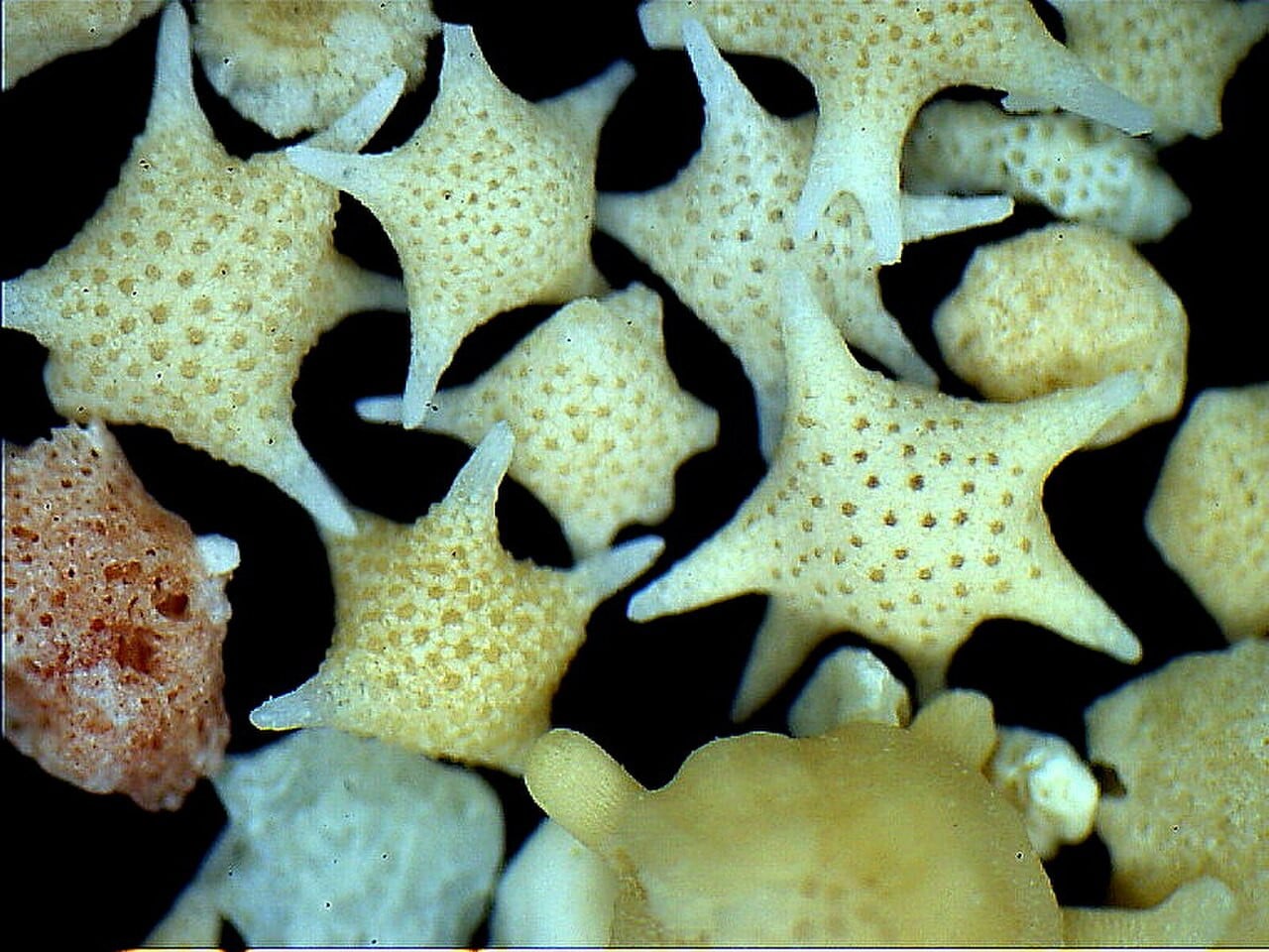 星砂