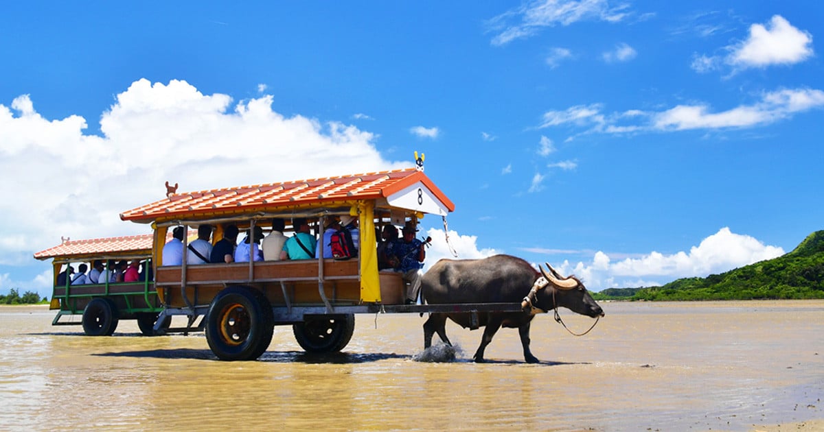 由布島