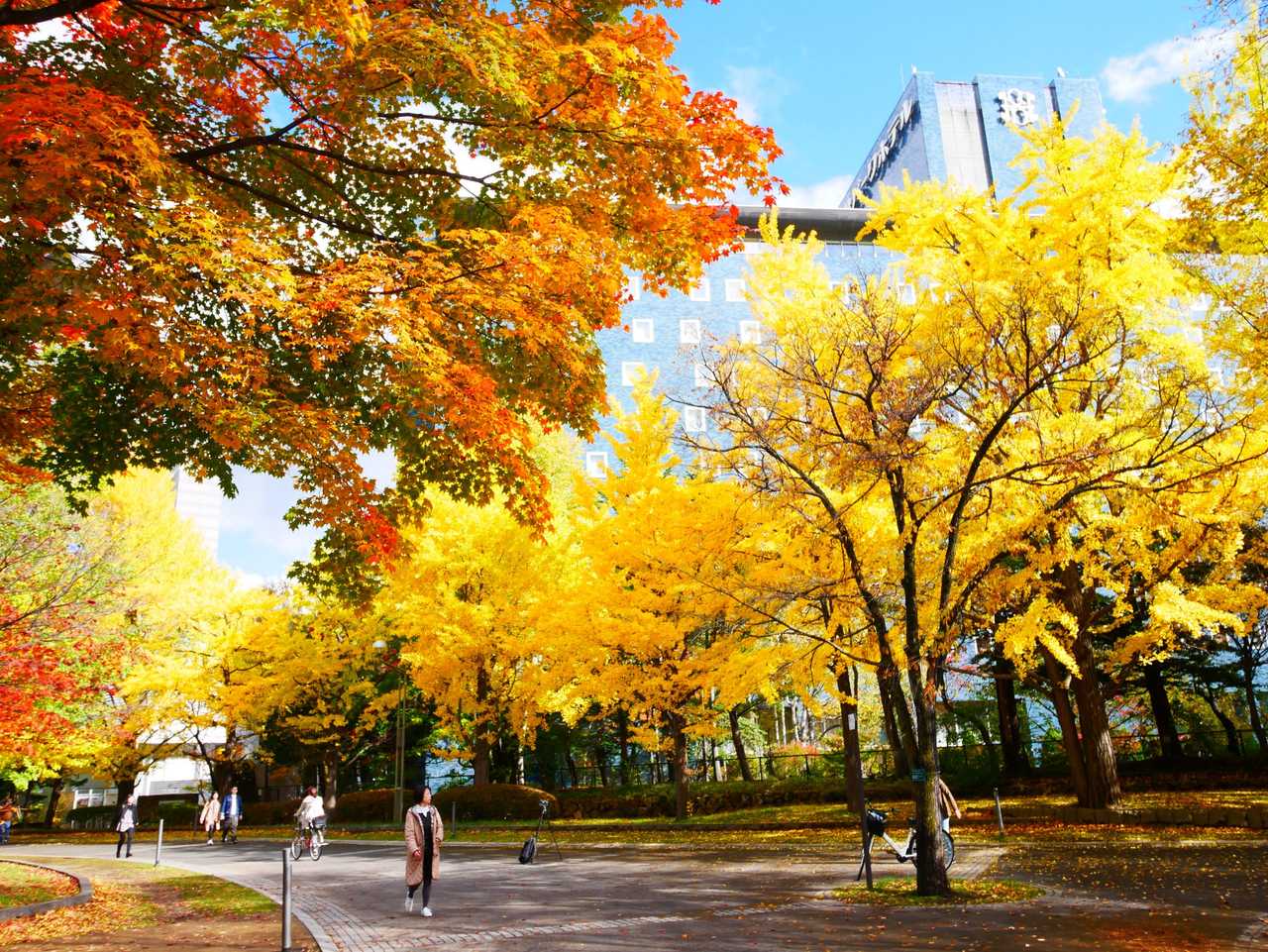 紅葉季一定要早訂：10月上中旬是全年最擠
