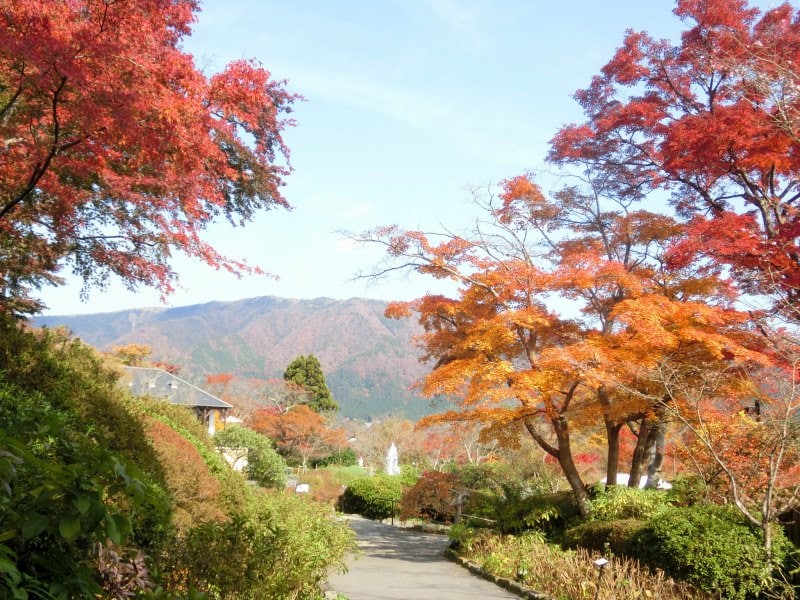 箱根強羅公園