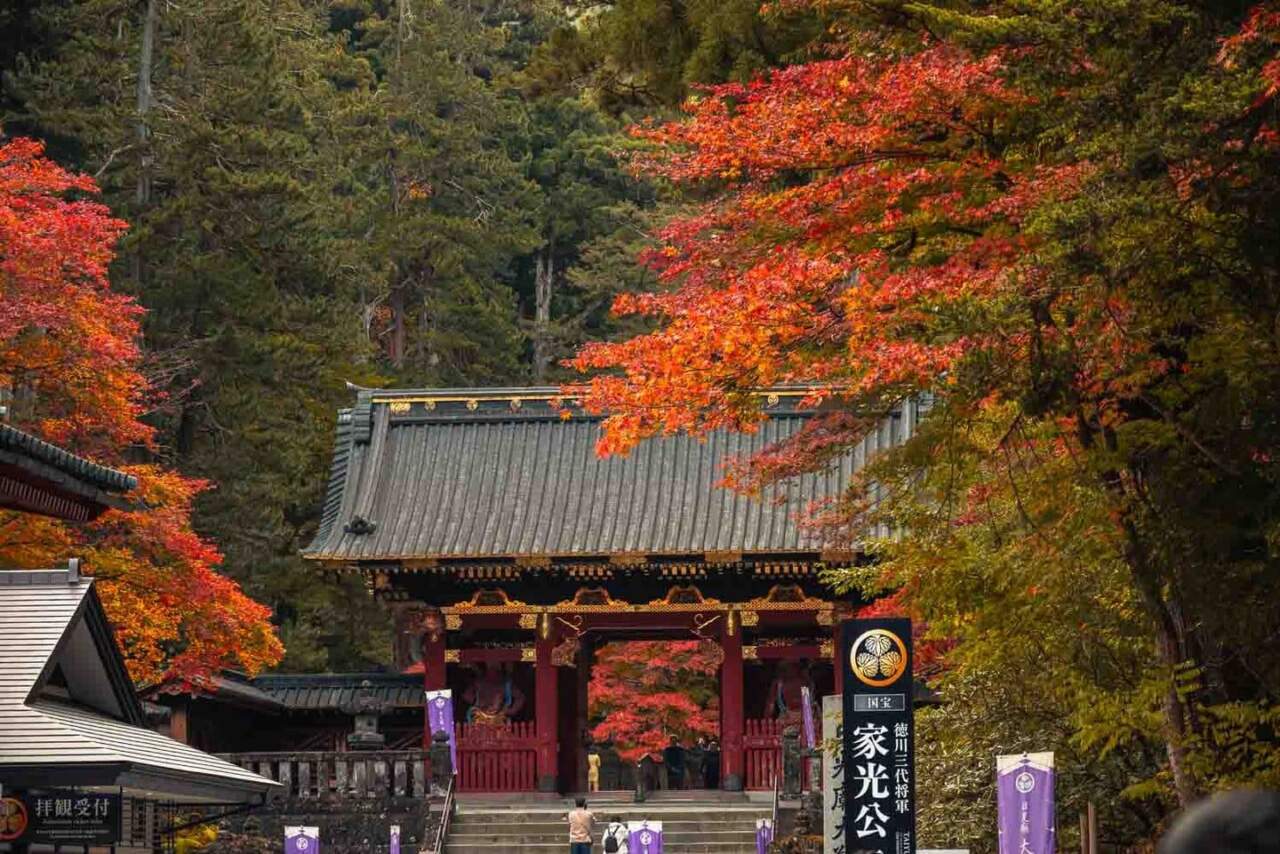 日光東照宮:世界遺產的精雕細琢