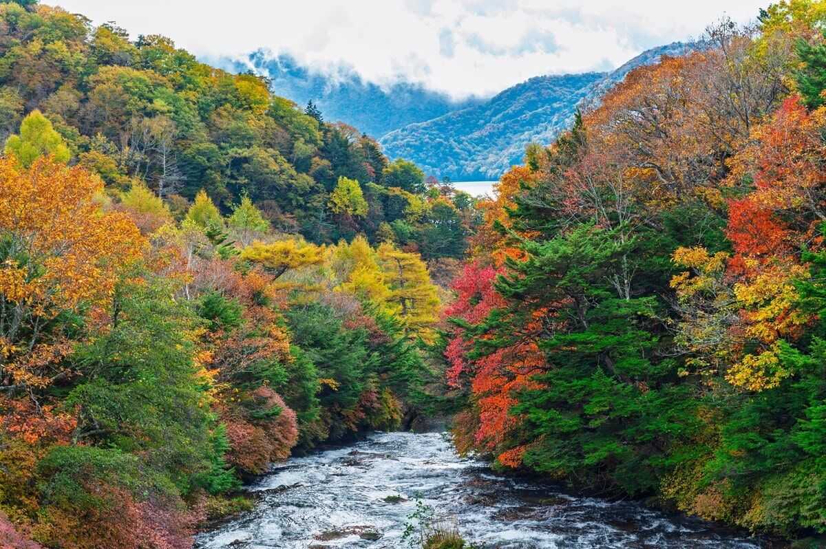戰場之原與龍頭瀑布:奧日光最早轉紅的秘境
