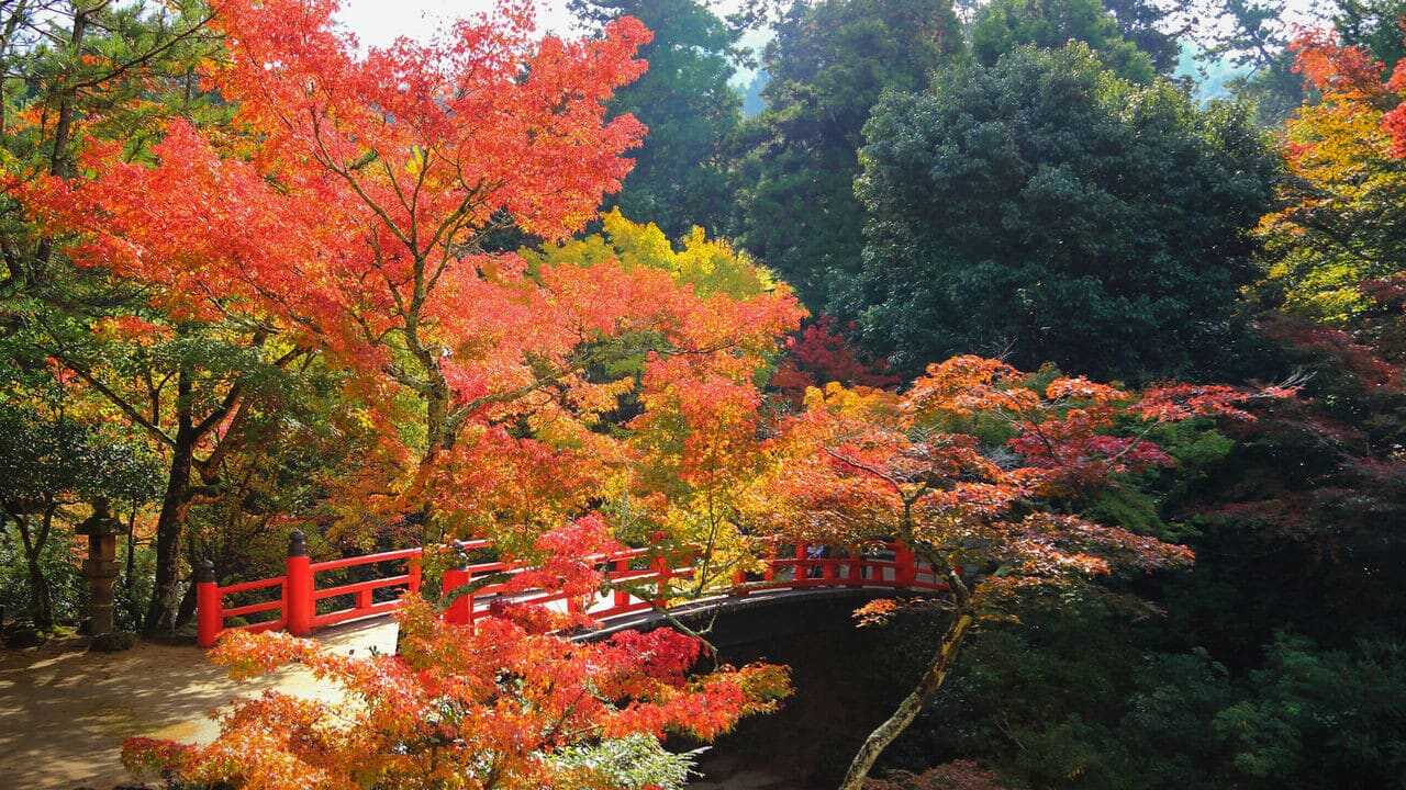 宮島3大核心賞楓景點總覽