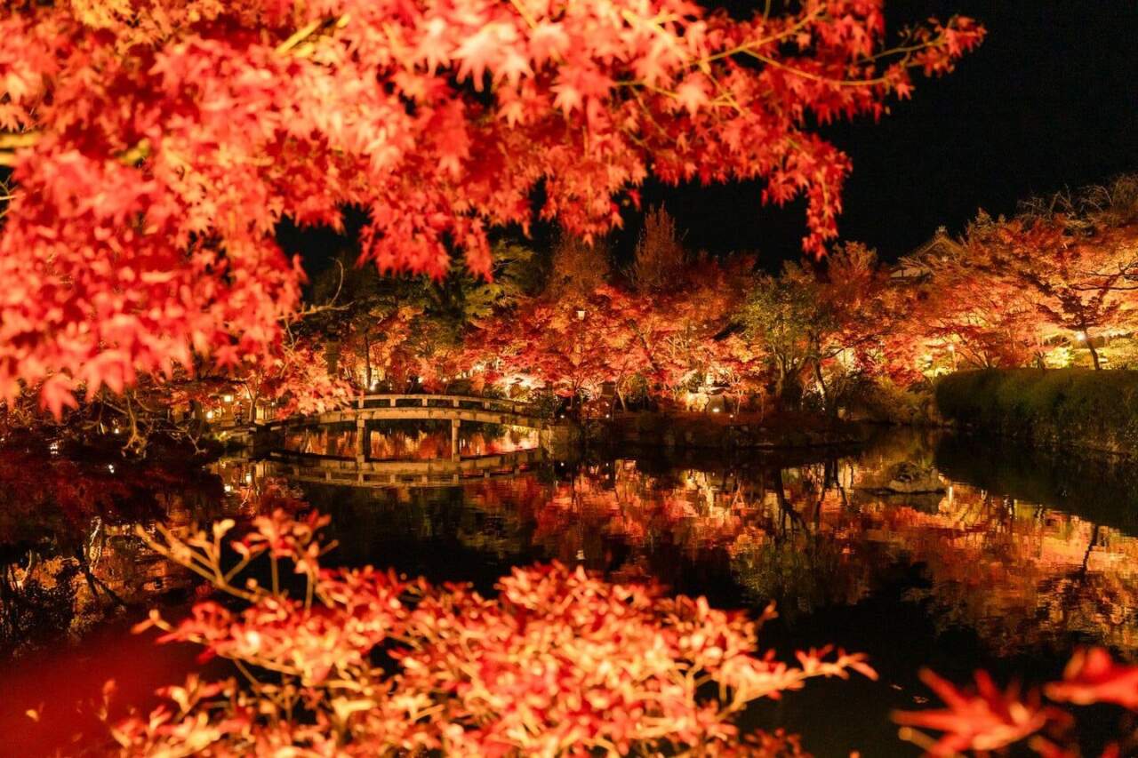紅葉谷公園:宮島賞楓核心景點