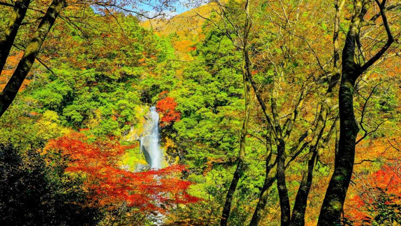 35 Best Places to See Autumn Leaves in Kyushu with Spectacular Scenery Shaped by Majestic Nature | GOOD LUCK TRIP