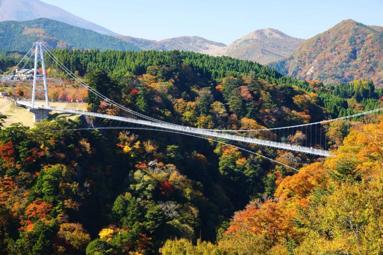 九重夢大吊橋:懸空俯瞰楓紅溪谷