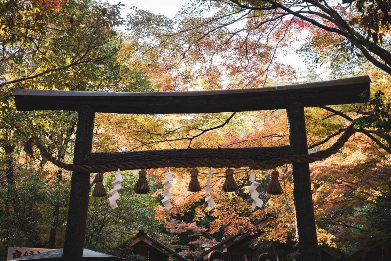 霧島神宮:南九州賞楓行程的壓軸
