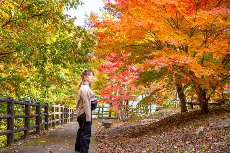 搶先體驗日本最早的秋色