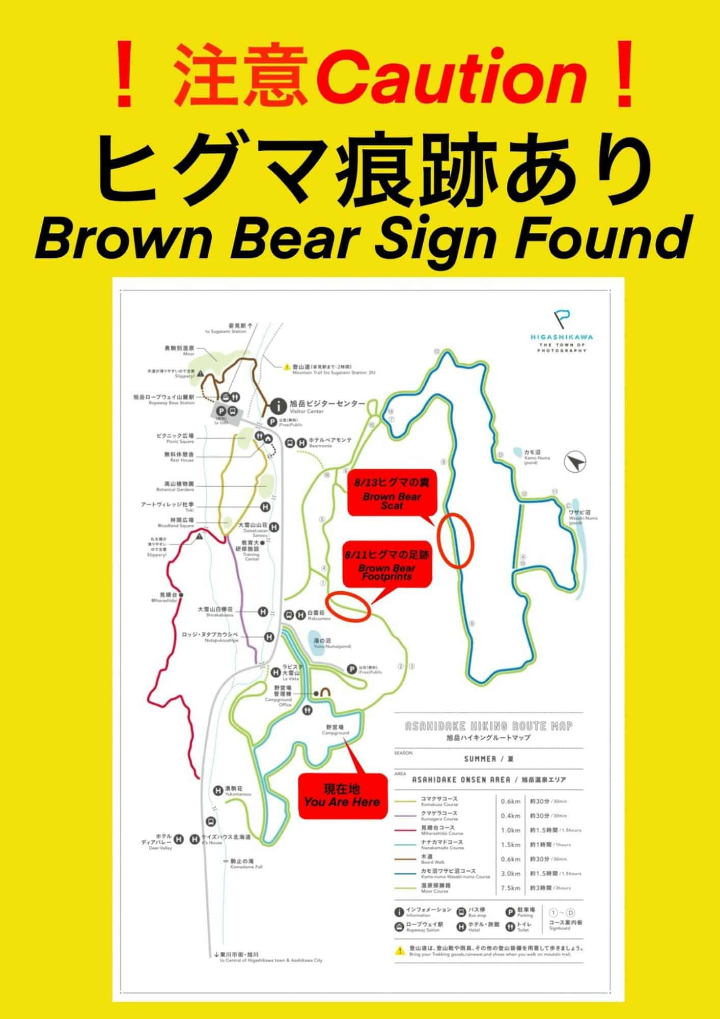 安全提醒:棕熊出沒警示