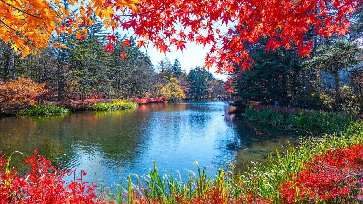 Discovering Karuizawa: Top Attractions You Can't Miss on Your Visit » Agoda: See The World For Less