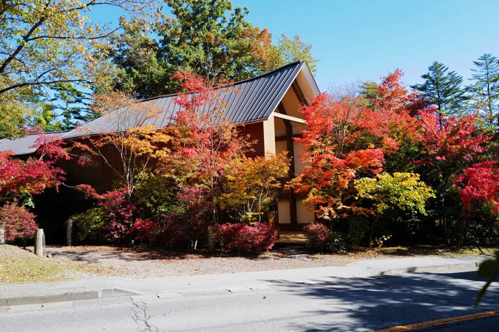 Experience Autumn Like Never Before in Karuizawa at SHISHI-IWA-HOUSE - ZEROMILE