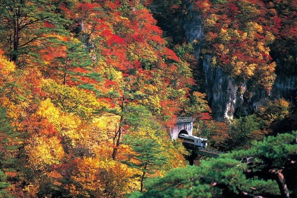 東北賞楓黃金雙名所組合