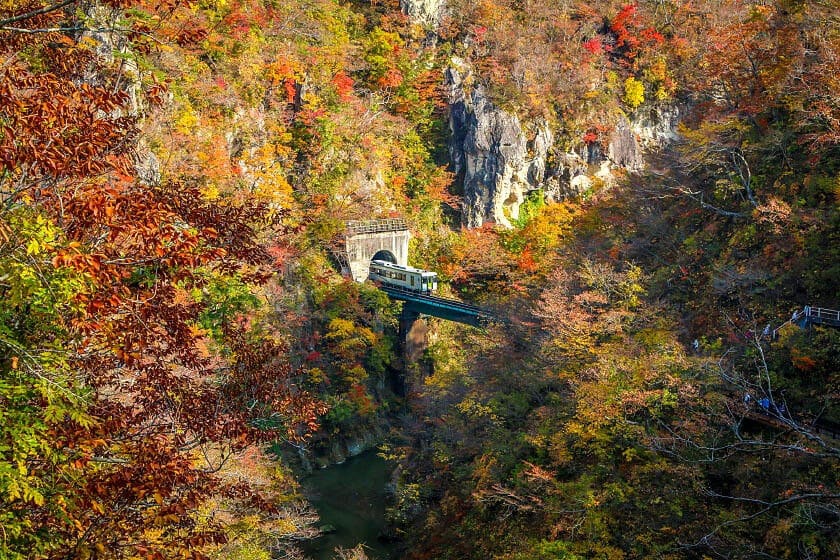 2026紅葉時間預測與最佳觀賞期