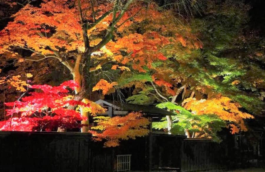 武家屋敷通夜間點燈