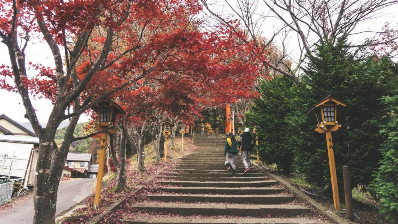 香嵐溪散策導覽:中文/英語導覽員帶隊