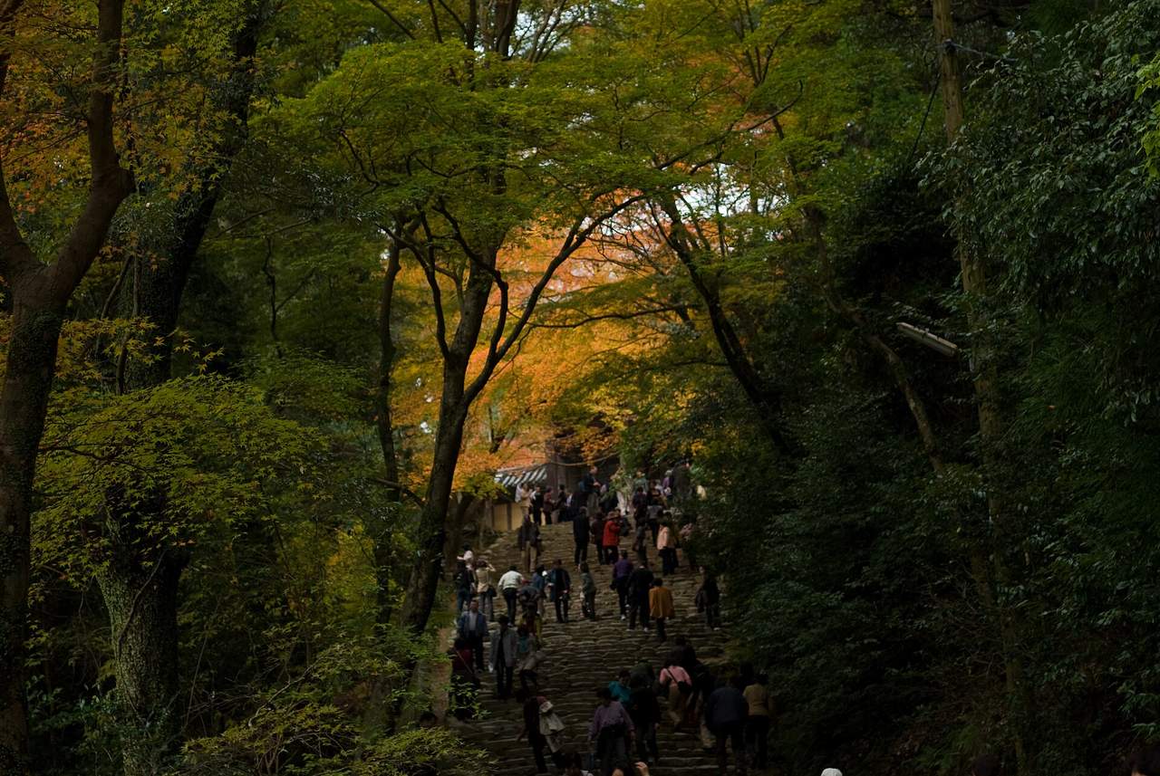 神護寺的長石階與樓門：爬完 350 階才看得到的紅葉隧道