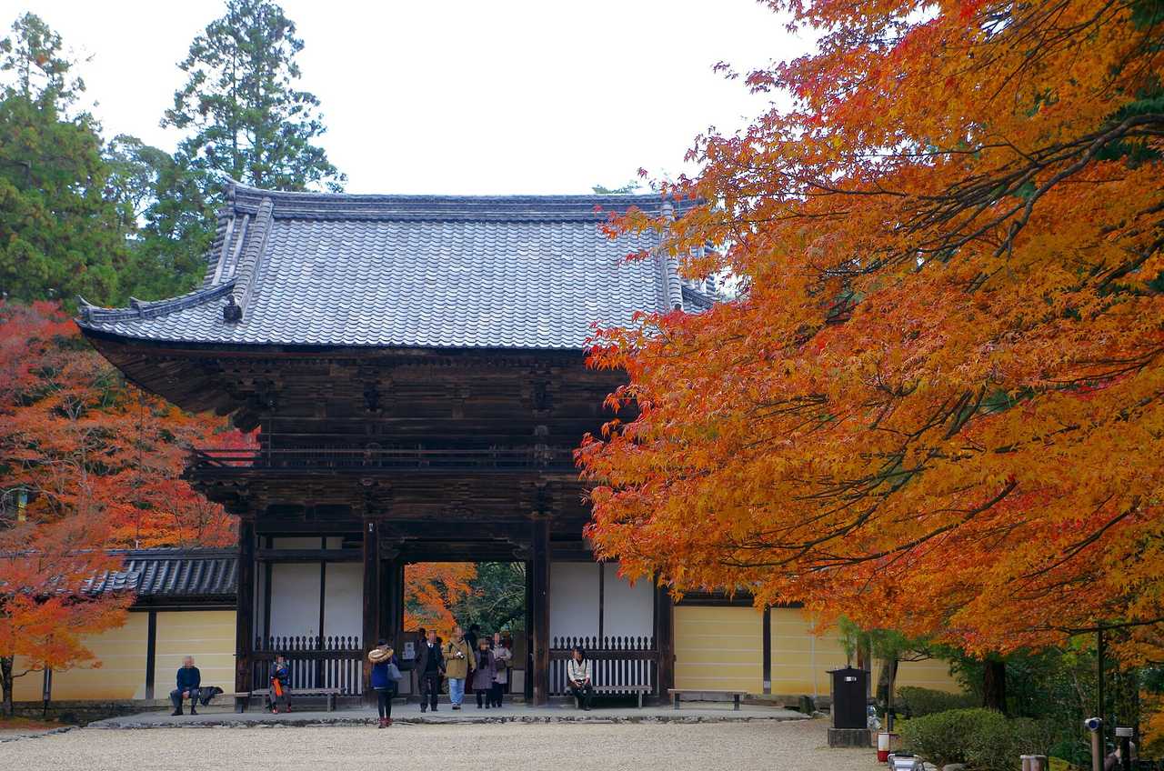 樓門：紅葉隧道盡頭的神護寺門面