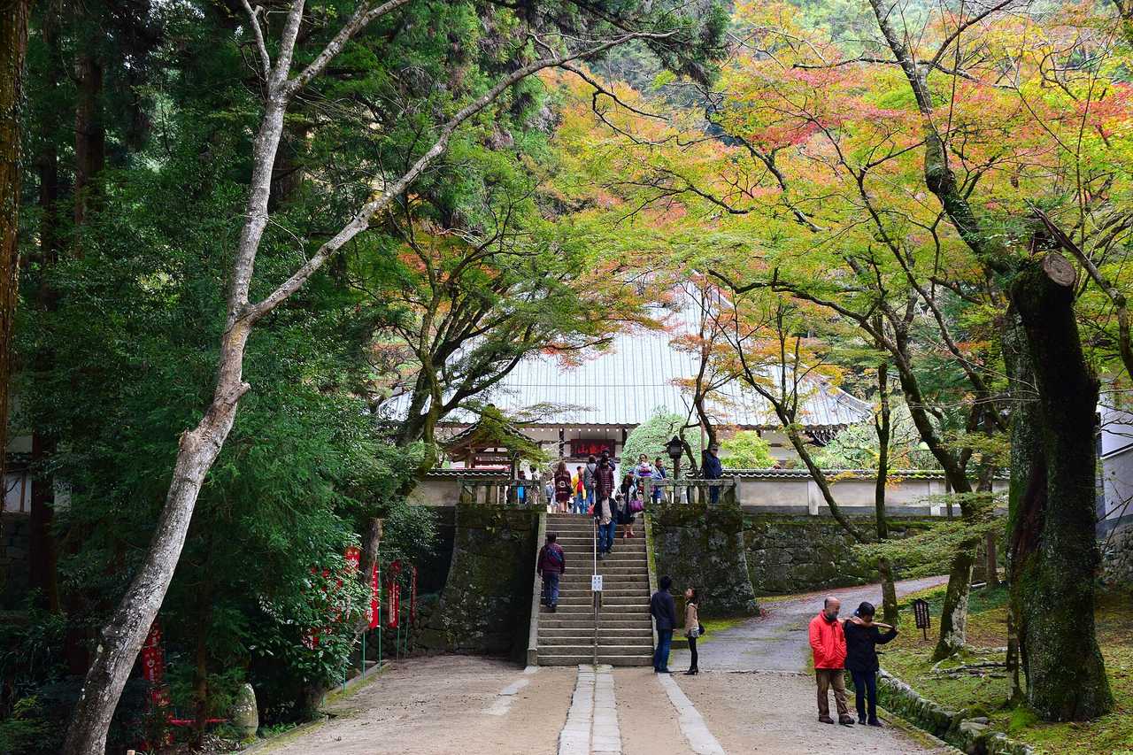 香積寺:1427年古剎與1634年植楓典故
