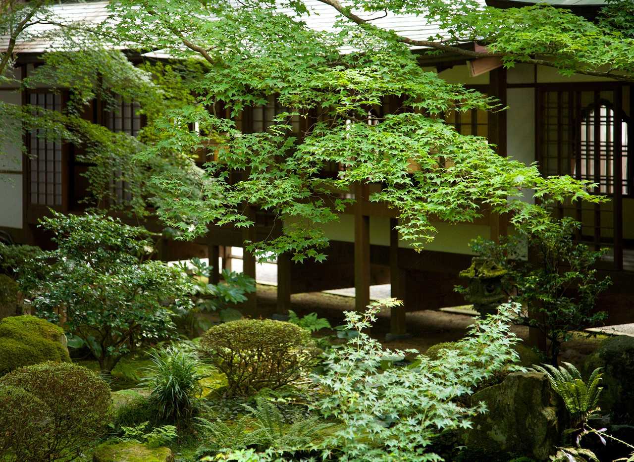 聚碧園:坐在客殿緣側享用抹茶的畫框庭園