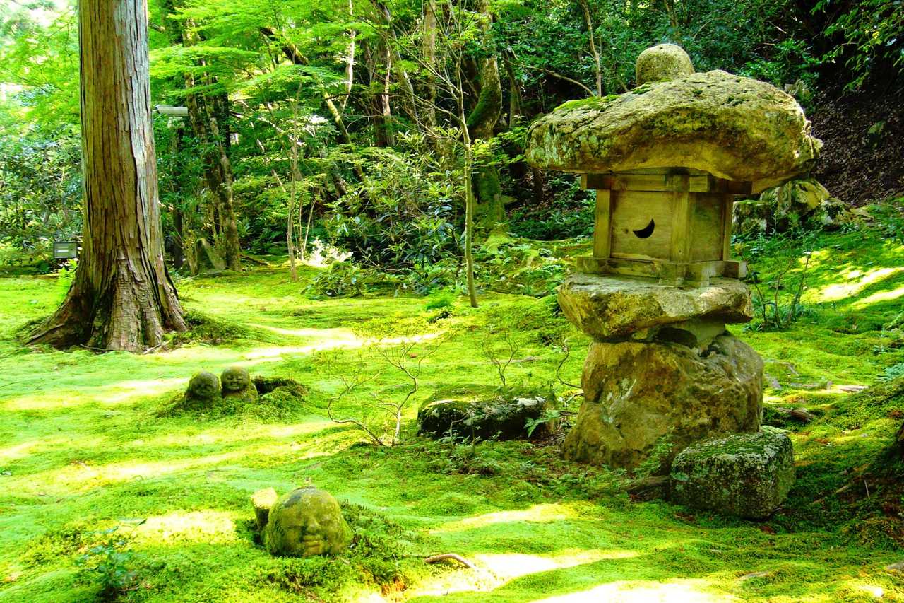 有清園:老杉與苔蘚交織的池泉迴遊式庭園