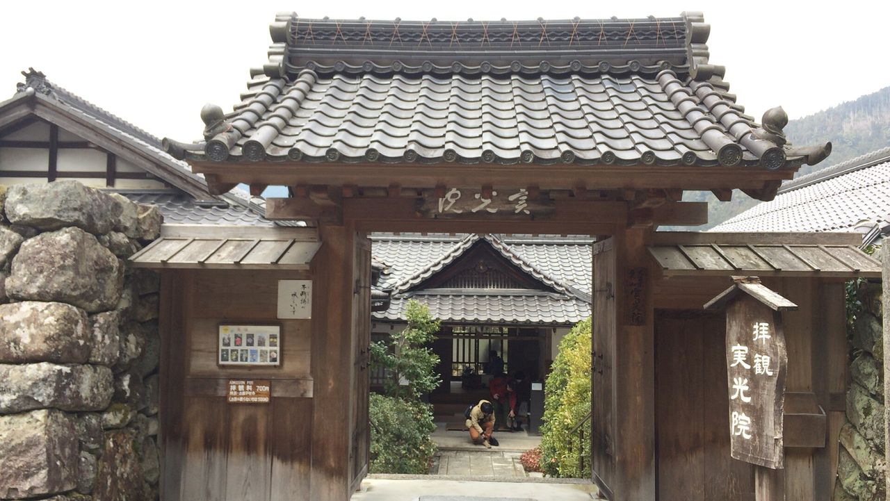 實光院:契心園與從秋開到春的四季櫻