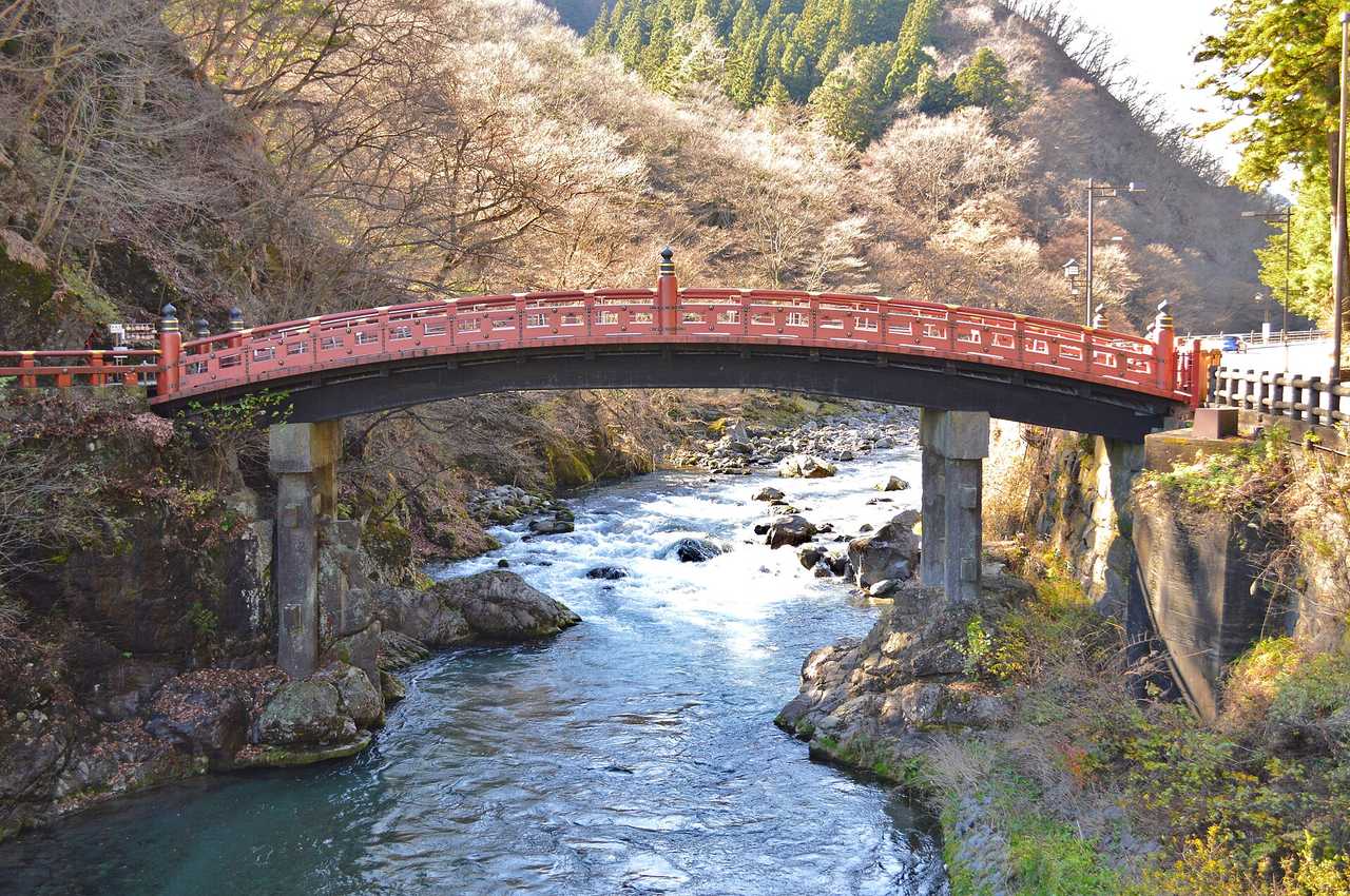 神橋與輪王寺逍遙園夜楓點燈