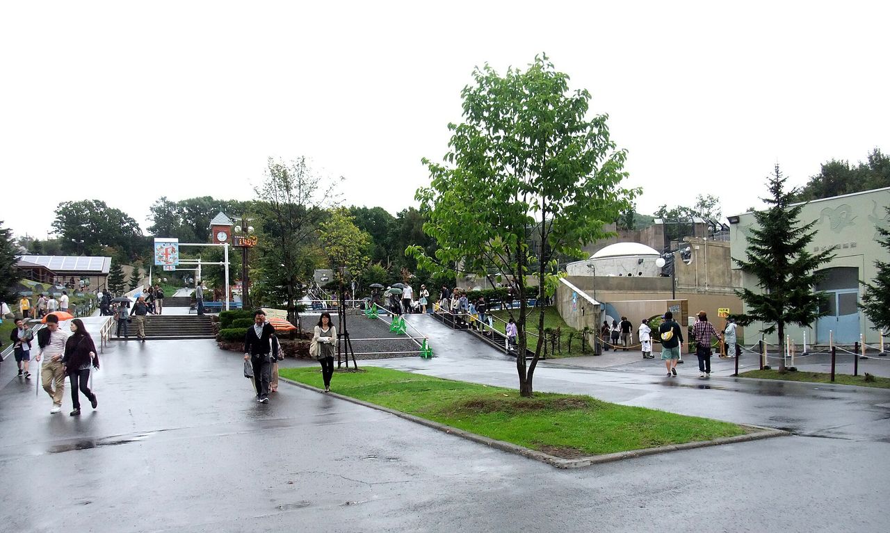 從關園危機到日本最受歡迎動物園的重生之路