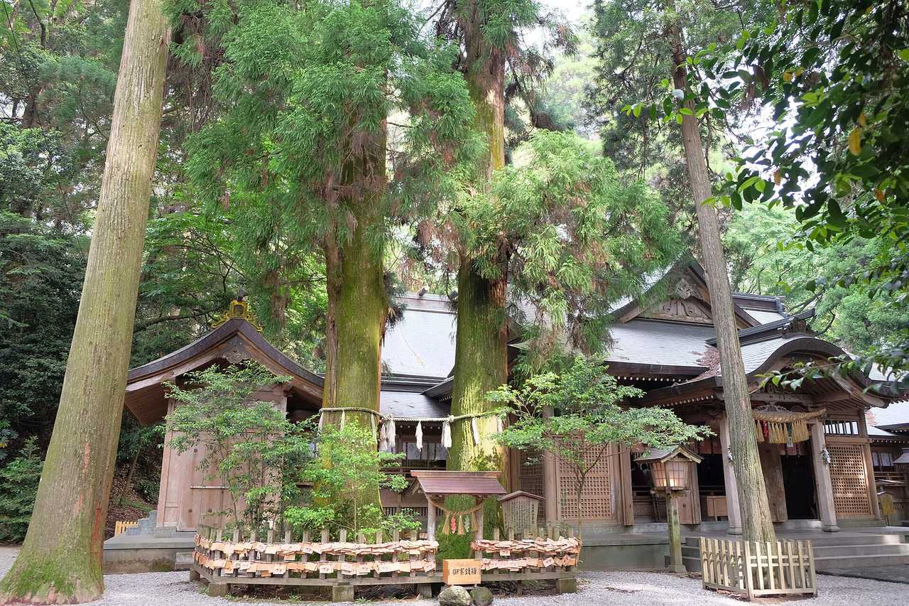 高千穗神社:秩父杉與夫婦杉的參拜重點
