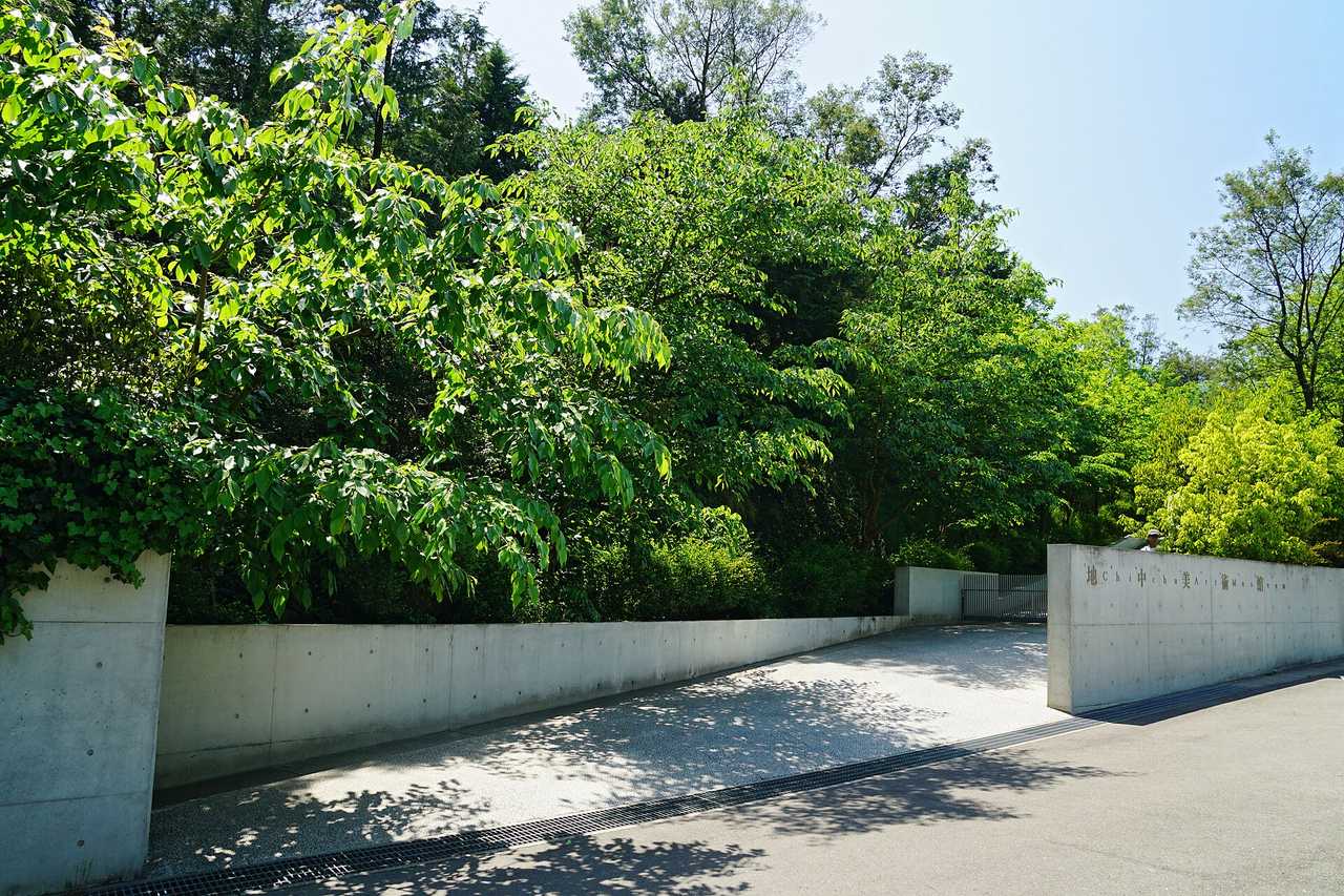 地中美術館:整座埋進地下、只用自然光的安藤建築