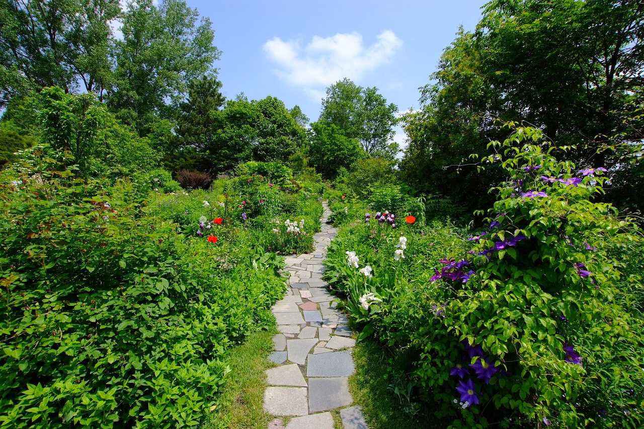 立體花園與Frame Garden:框景美學的攝影熱點
