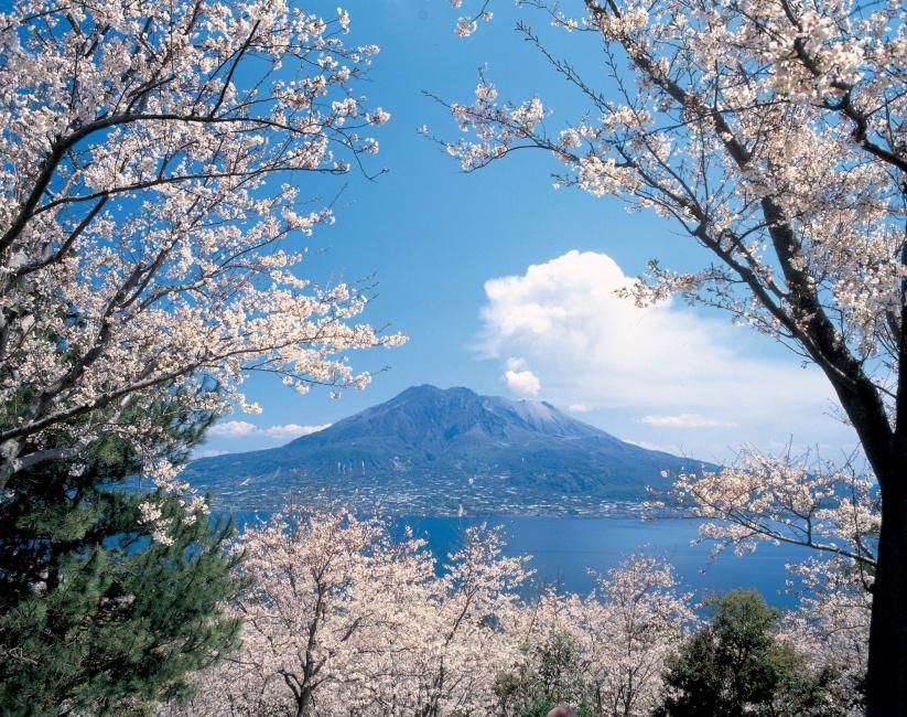 鹿兒島 櫻島半日遊(中文導遊)