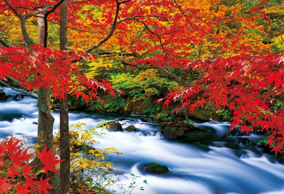 【一人成團】東北青森賞楓一日遊|奧入瀨、十和田湖、弘前公園