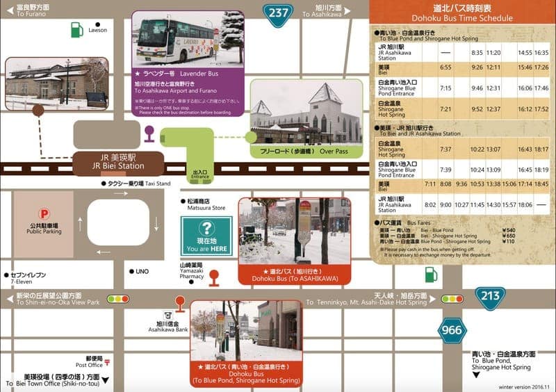 美瑛町自由行交通方案：巴士、計程車與租車比較
