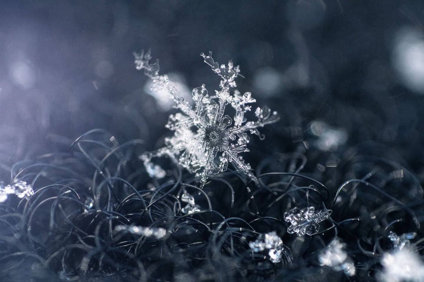 雪之結晶(Yuki no Kessho):銀飾與雪花結晶工藝的極致展現