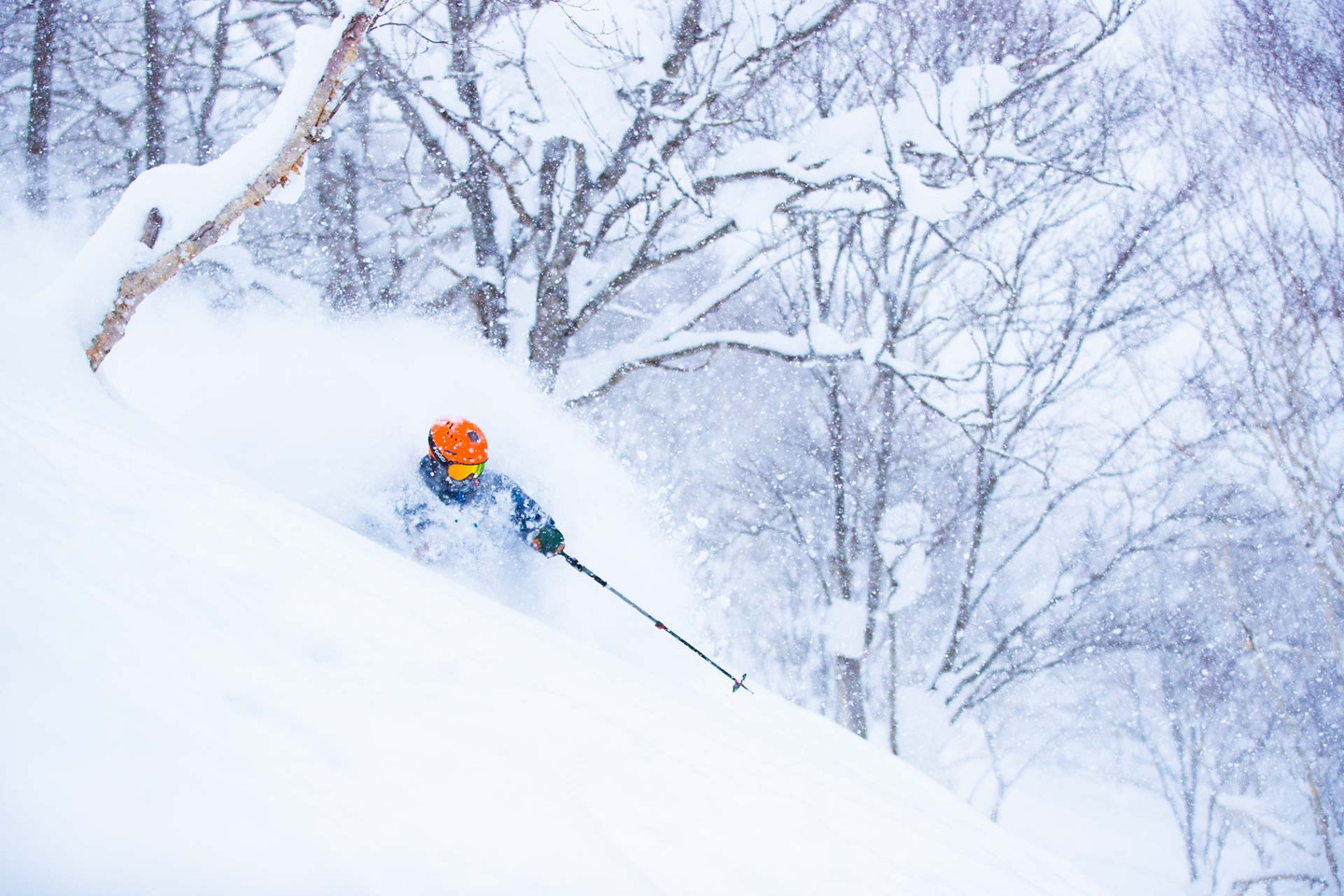 二世古最佳滑雪季節