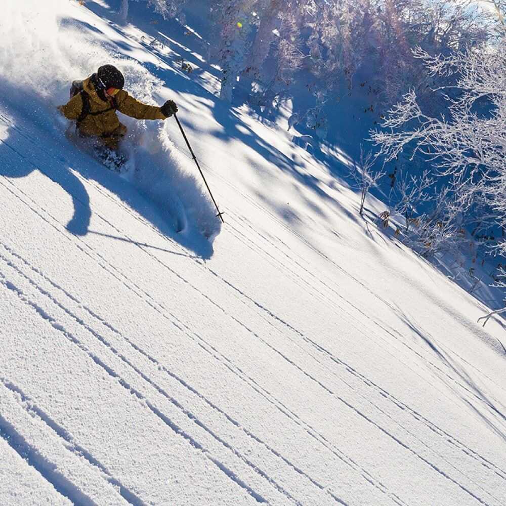 Rusutsu Resort - POWDER SNOW HOKKAIDO