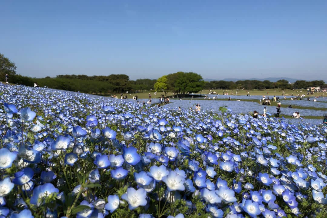 海之中道海濱公園