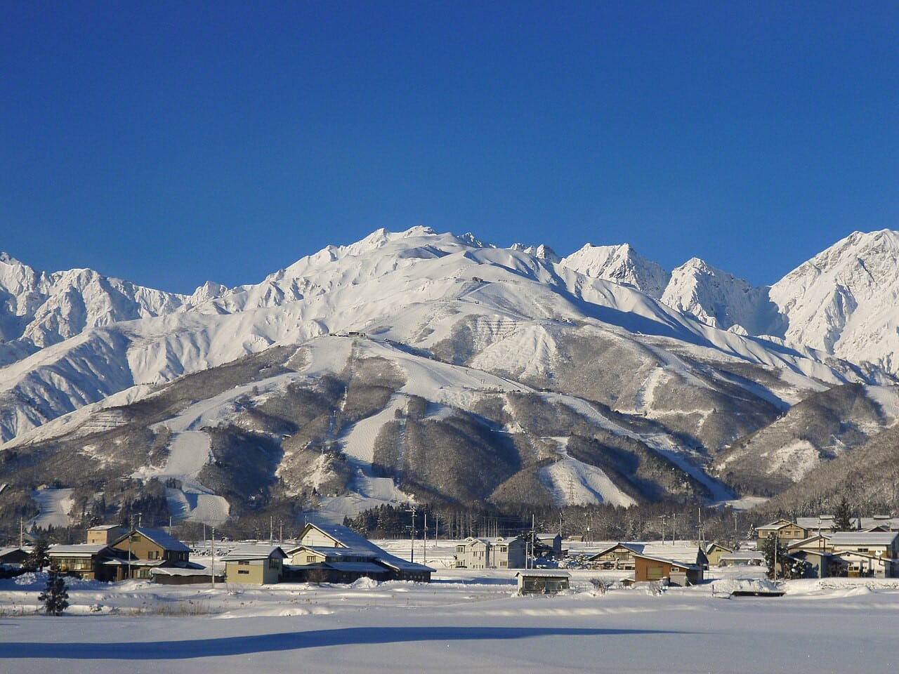 白馬八方尾根滑雪場
