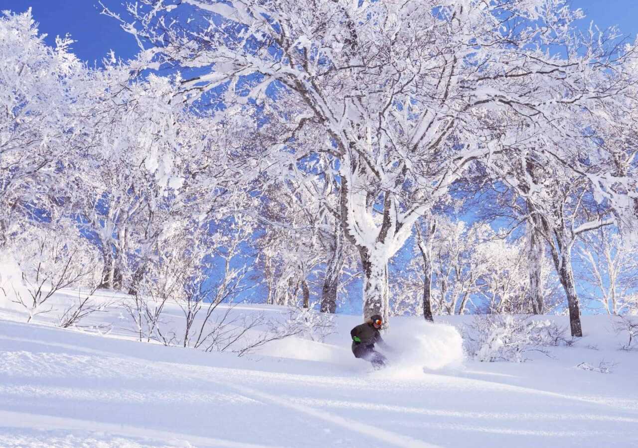 粉雪秘境