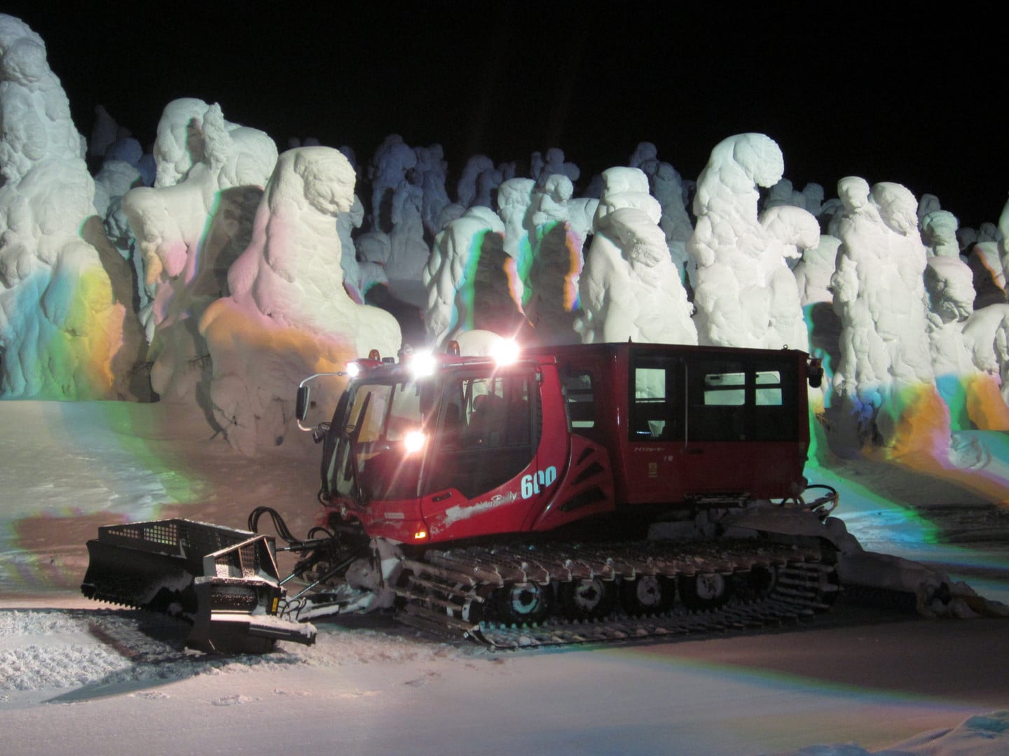 樹冰幻想回廊雪地車體驗